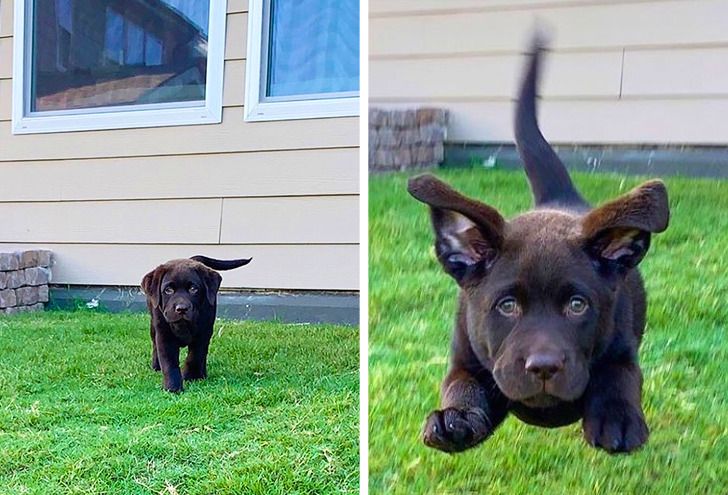 36714955f08ca3dcd26e226157