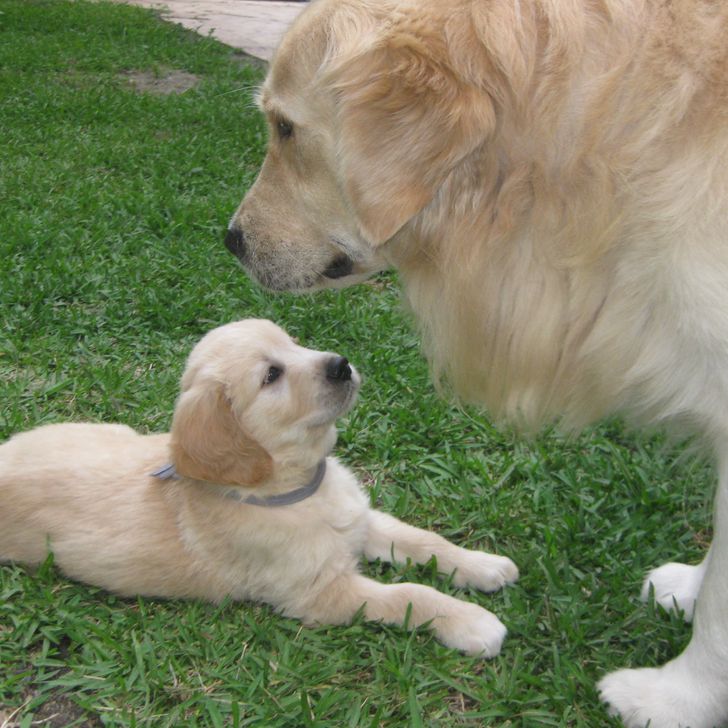 3673ca59738f9706d47006e69f 3673ca59738f9706d47006e69f