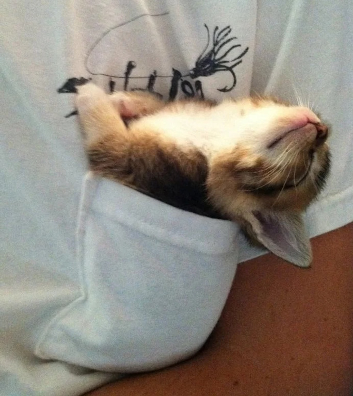 368cfe5990b750aa312195d950 368cfe5990b750aa312195d950