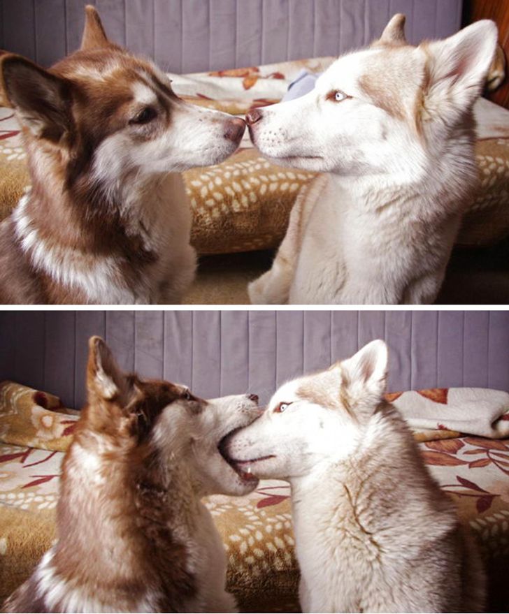 368e8a55658ecc5345a98b4189