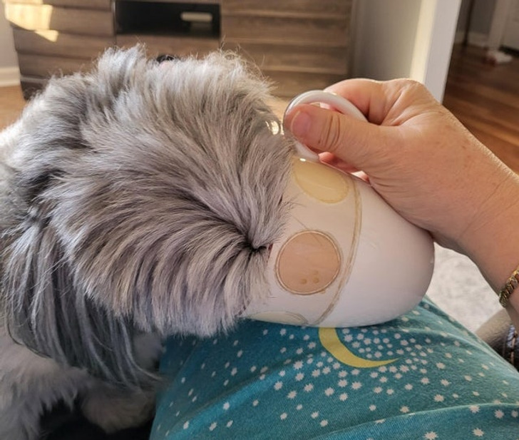 368f4e5e03ade0782244b8f7a3