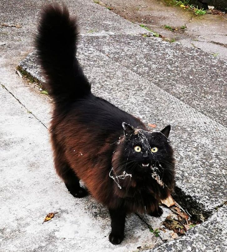 36a82457f094163f299c417e01