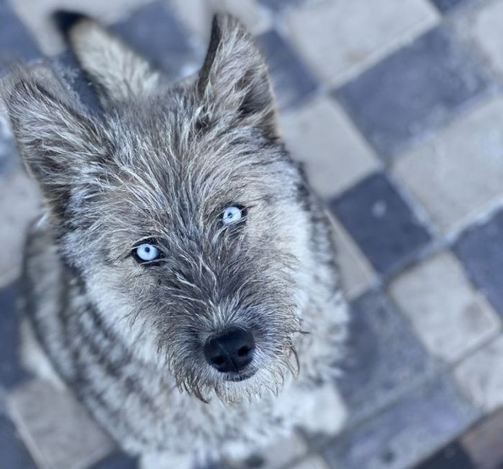 36ac2f54e497dce2733f66fea1