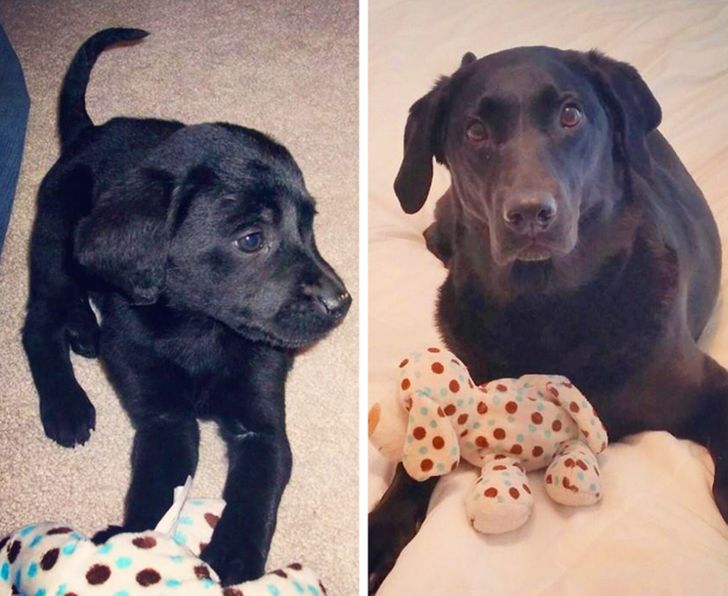 36b15854f29ab32456e51cceaa