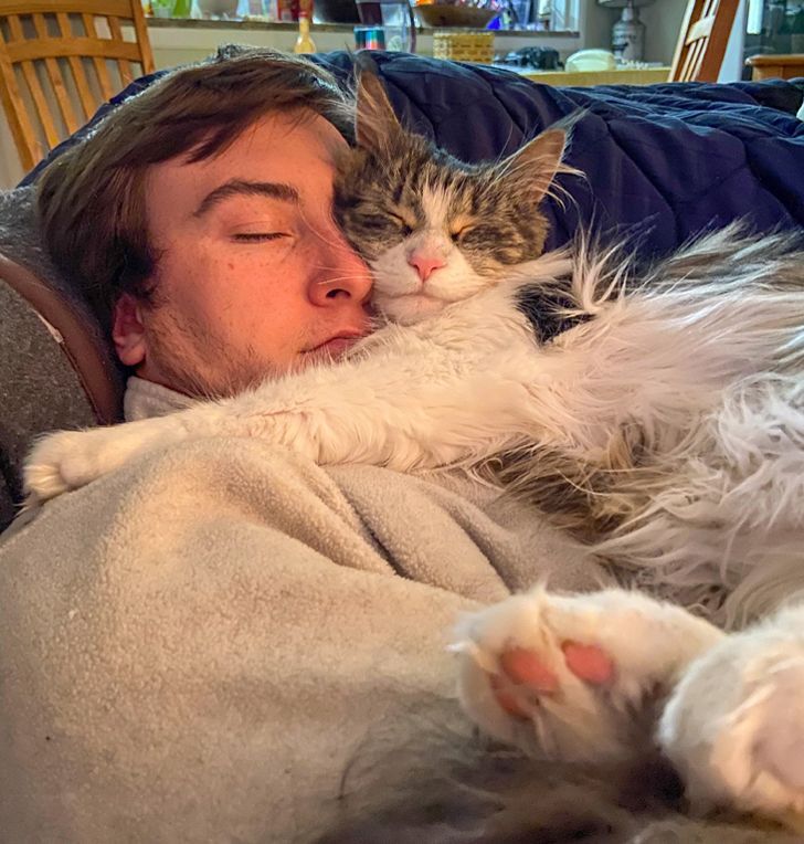 36b61553fb99228dff3e57ed29