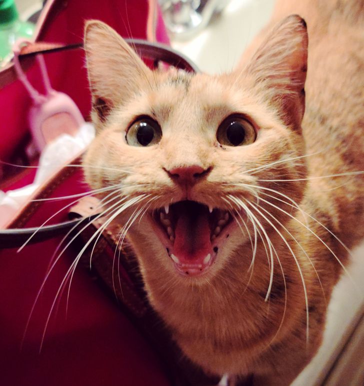 36bd2c511dadf2764744944fb0