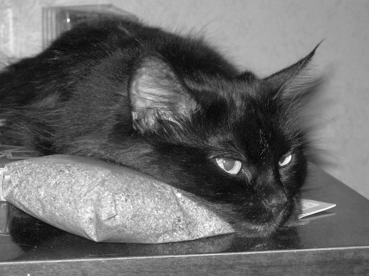 36cf1e5f0cac9513f71924f0ce