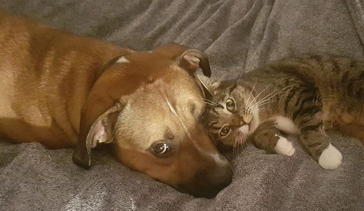 36d99c55aca2fee42ce27db45e