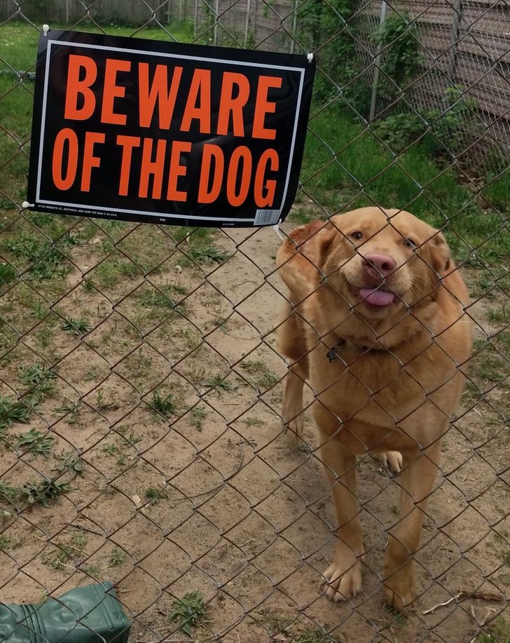 36ddeb5a028e2883ba0a6f05fe