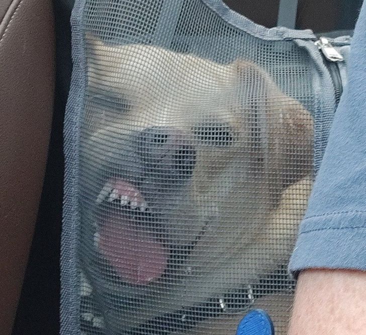 36e0bc5783a8f88b826dc7efde