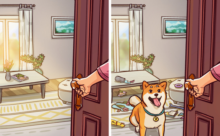 36eecb51679741e00149fc9e18