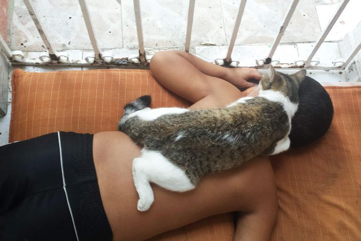 36f2895a7681d021785eaefb69