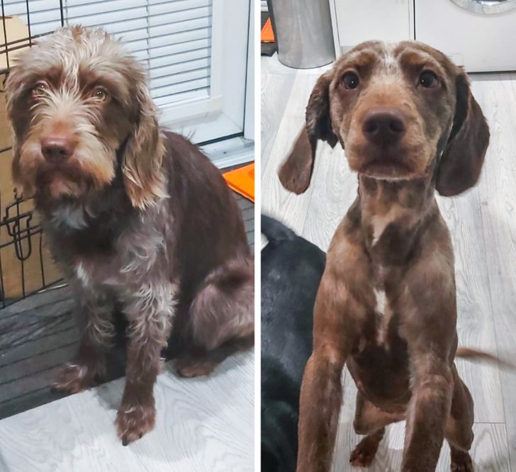 36f31b5930bf3ac5ea36e5b42f