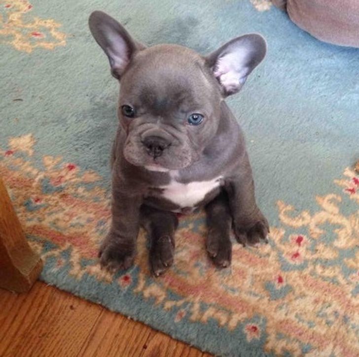 36feee57bda4c63fabb12b6921