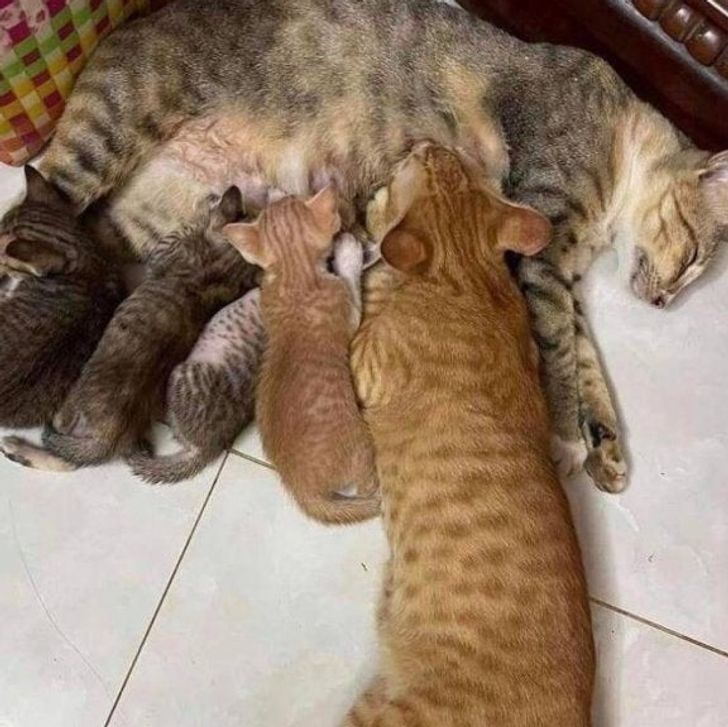 3715e55f0c839abb9b35116925