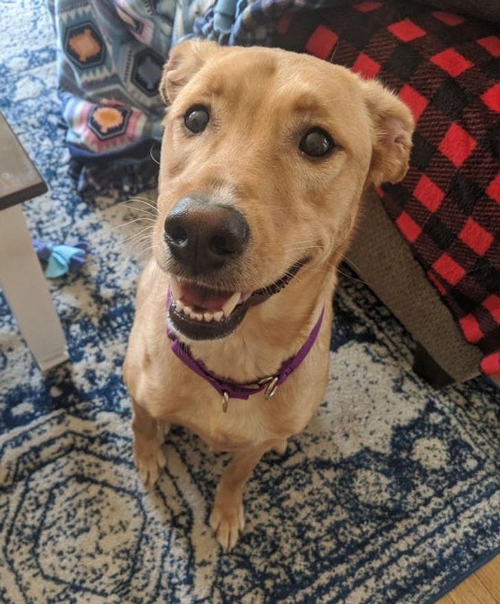 371b565992ae51a2000b551a79