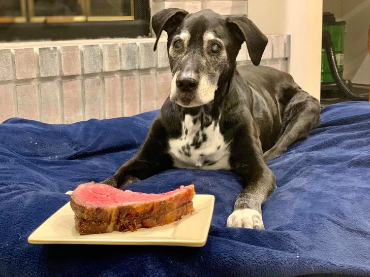 371eed550a844aa0208a34bdd5