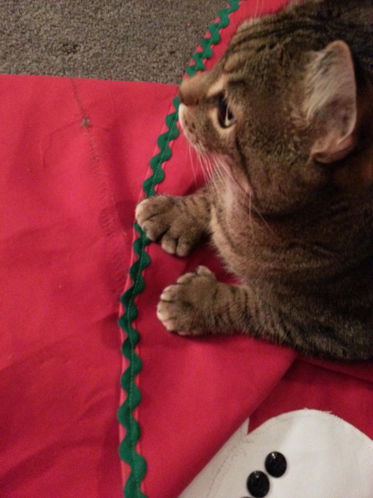 371fee54e698de5ec6ff7cfb1e