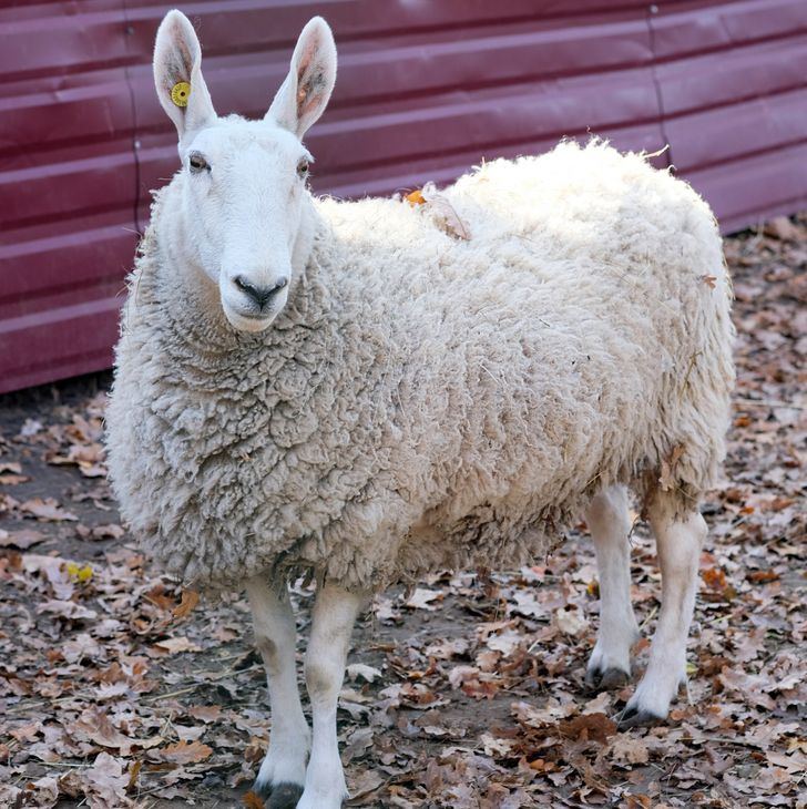 372b7f5ba98d9293e4274a2aa9