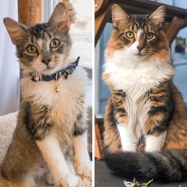 372c1a541cb643367eea9fb3f8