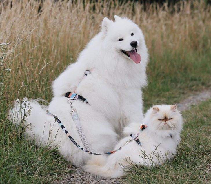 372fcc5a1599927e56cb2f482f