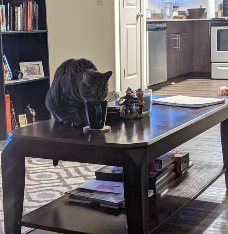 3733b85db8badb538e3e99807c