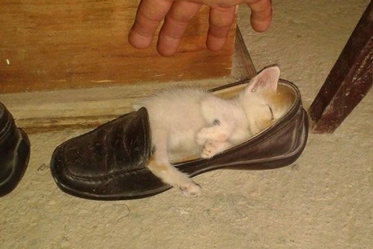 3734245484a8d49d05920978cd