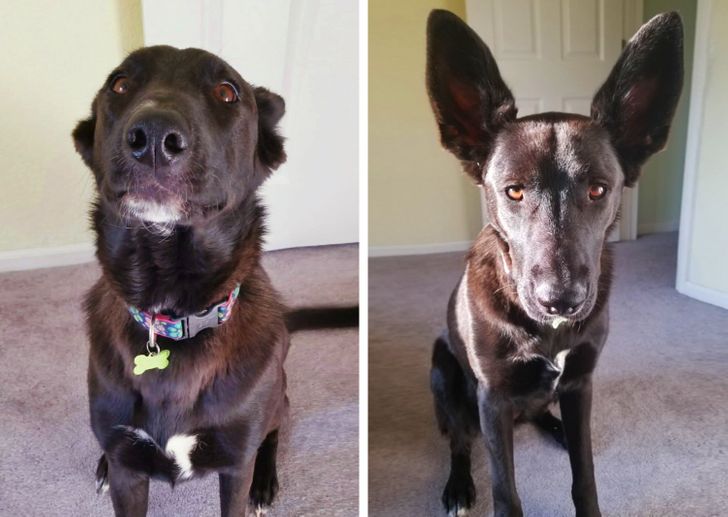 3738755adeae19397185f7382d