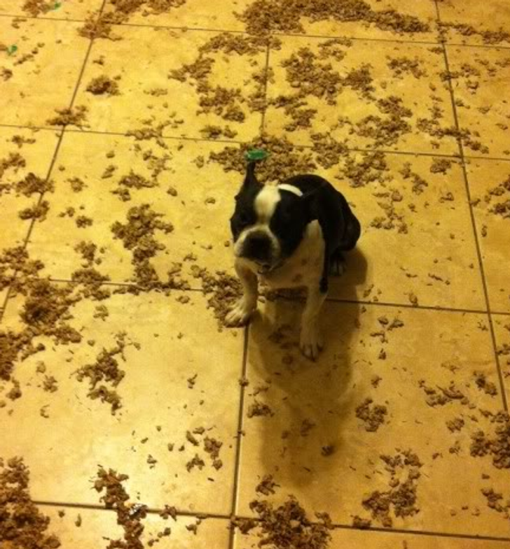 37390c5609ac7a19f07f8696f8 37390c5609ac7a19f07f8696f8