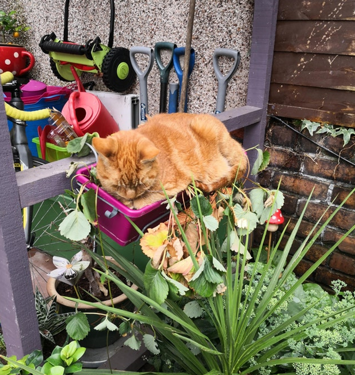 373b05563f9bf9b7c61090a9de