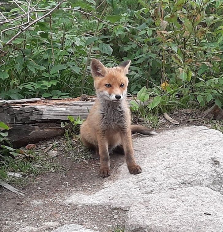 373d655ac9a4748e03d47c1255