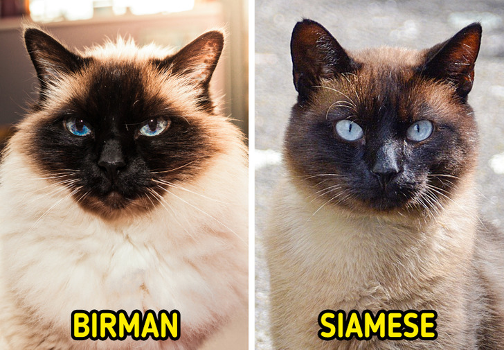 374439590e945252105cf1b8cd