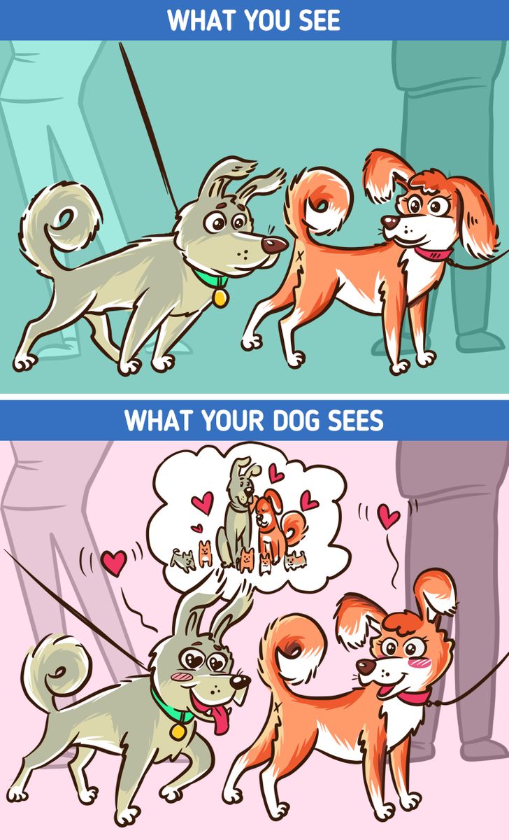 3749f95cf4ac5db94127119820