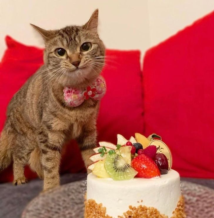 374a565059bba7482aea20d22d