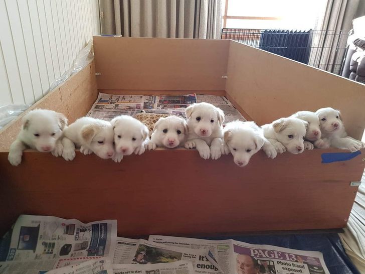 374bd358d1b31e2cd1bb73718e