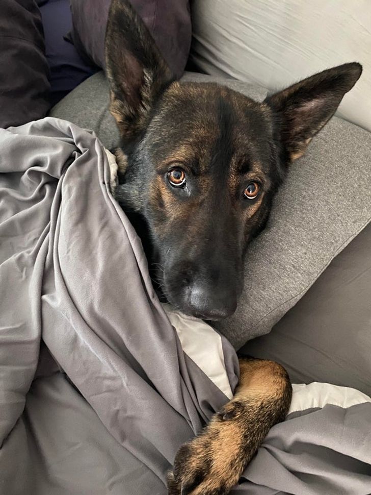 374dcc5dd8bdc43f8e188d1ea8