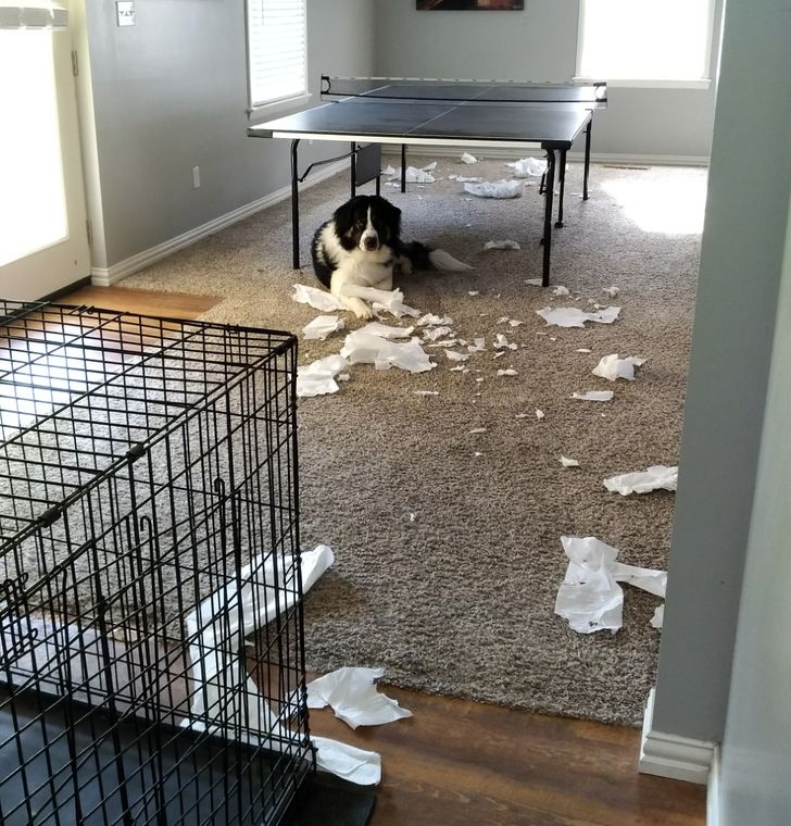 37514c523fb68c54b85980a8ef