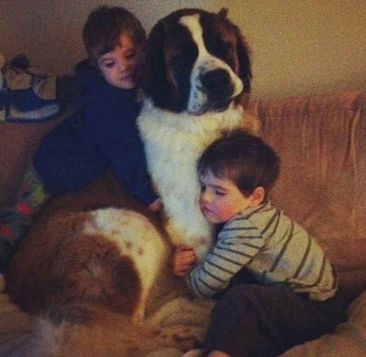 37515e57a396d072d709672e05