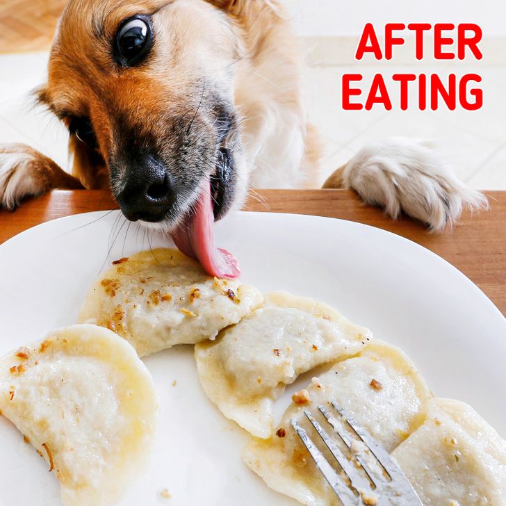 3758d45ae09138d318915a40b8