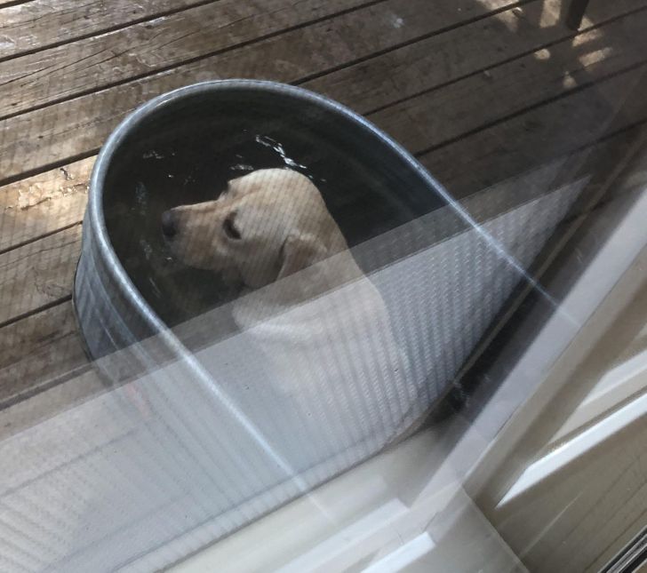 375d3750af82edf697f9a255d9 375d3750af82edf697f9a255d9