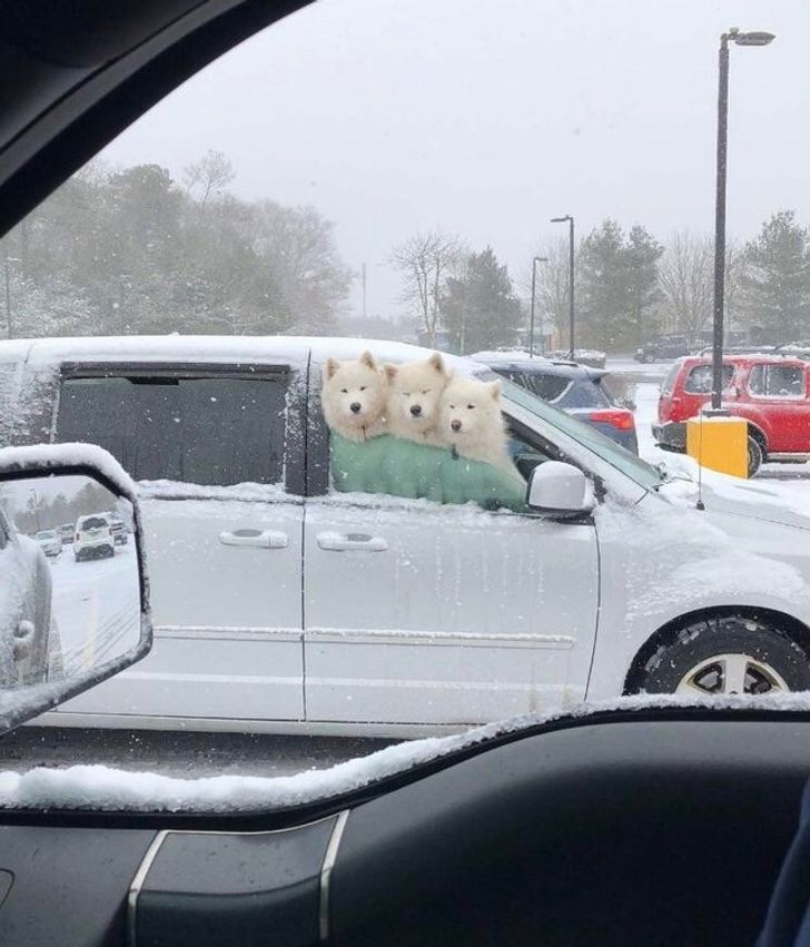 37643759999fd80473f167ed38