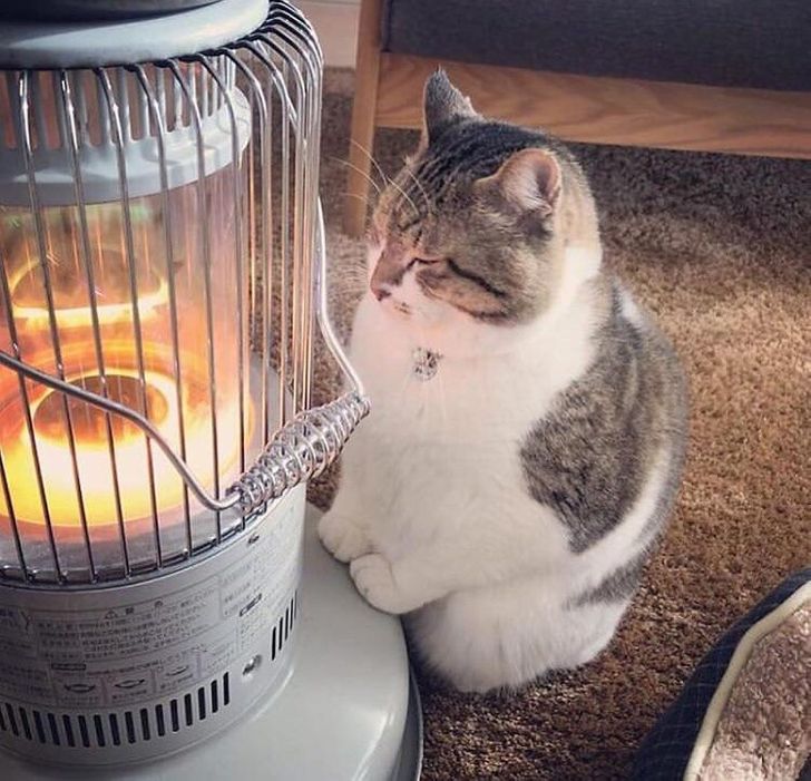 3769bc50da807cd5bf0b8c91d7