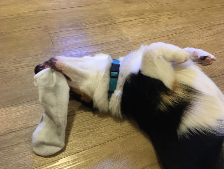 376df95d92b0f9cdeef26ae758