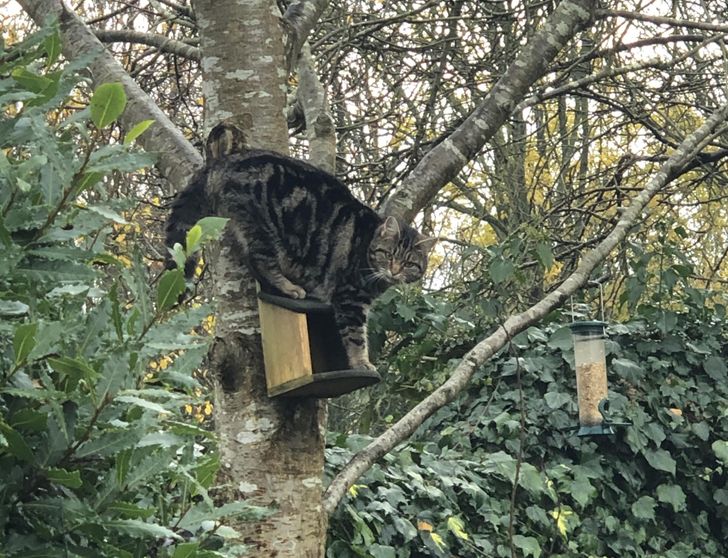 376eb15fa380857dae5b1bbb06