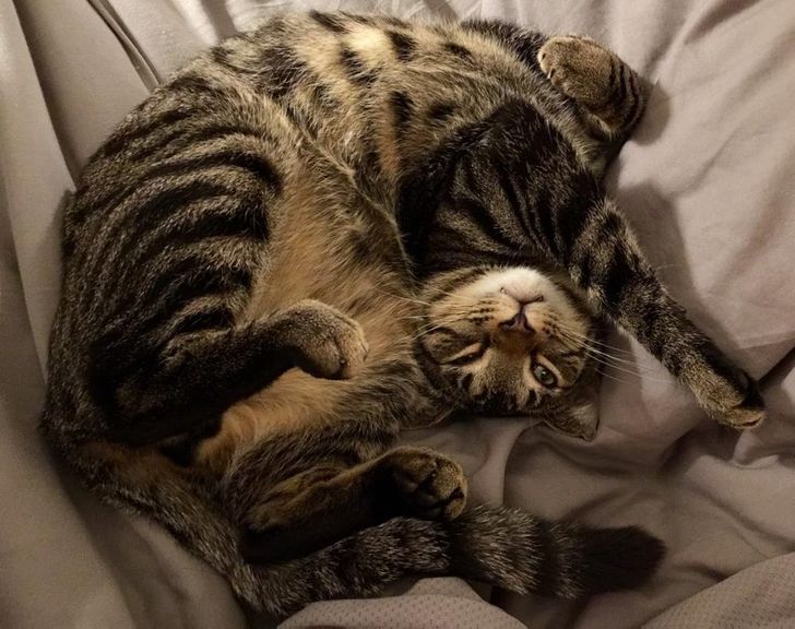 37788e5367b26c272dd59fec5b