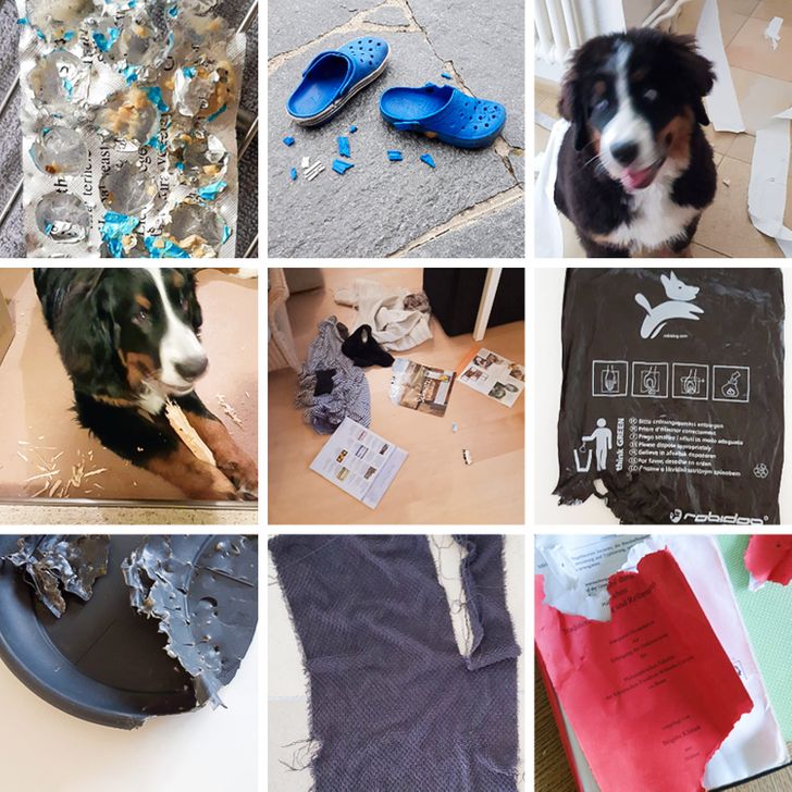 3779a85644889958f82d53fb5d