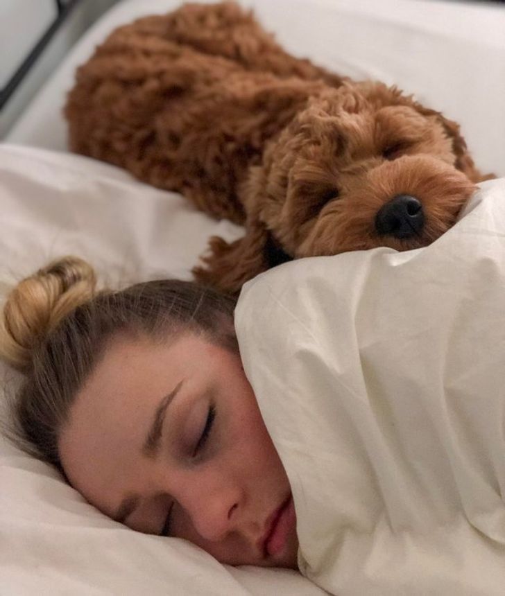 377dd05802a22c3fe4d032ea9b