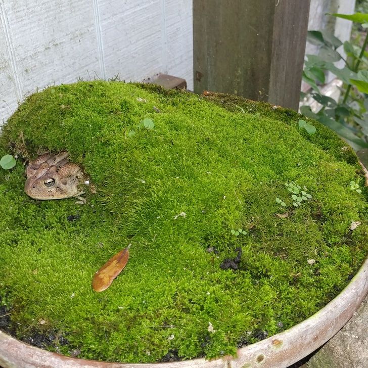 377fbb50b6b6048b1b75421dbb