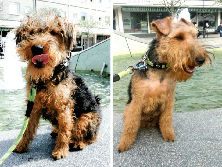 3780215a18b4689b2d8d321003