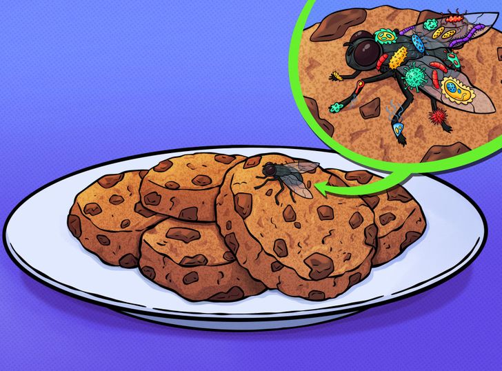 3784ec5c79a568bb8a0710e295